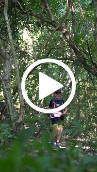 BIB:  <button type="button" onclick="openModal(28067285)" class="btn btn-primary btn-sm float-right" data-toggle="modal" data-target=".modal-high-quality">
                <i class="fa fa-download"></i> Download
                </button>